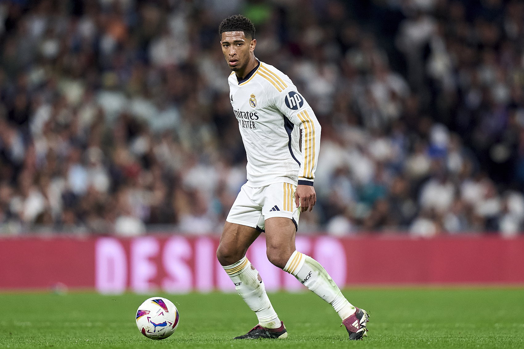 男单赛场 男单赛场